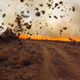 Illustration for article titled Science of the Fiery Dust Devil Spawned by a Controlled Burn